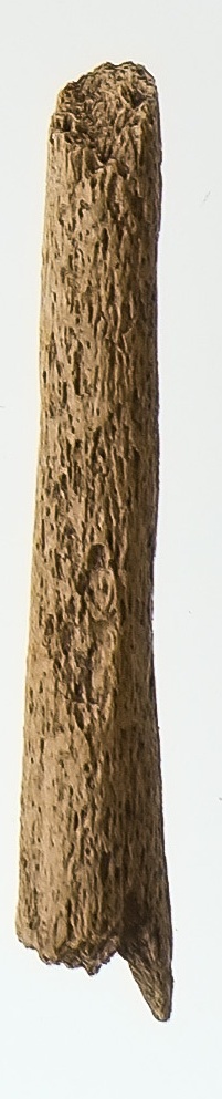 Barbed Whalebone Rod